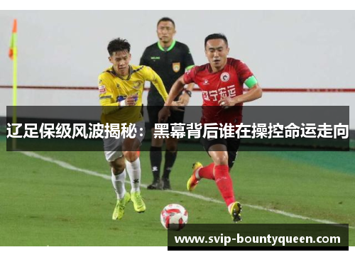 辽足保级风波揭秘:黑幕背后谁在操控命运走向 辽足保级风波揭秘:黑幕背后谁在操控命运走向