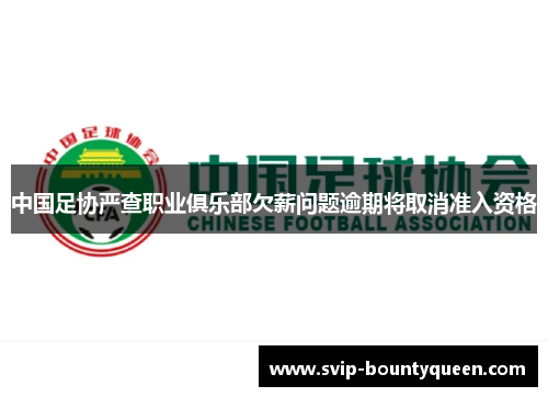 中国足协严查职业俱乐部欠薪问题逾期将取消准入资格
