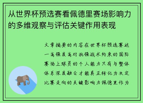 从世界杯预选赛看佩德里赛场影响力的多维观察与评估关键作用表现