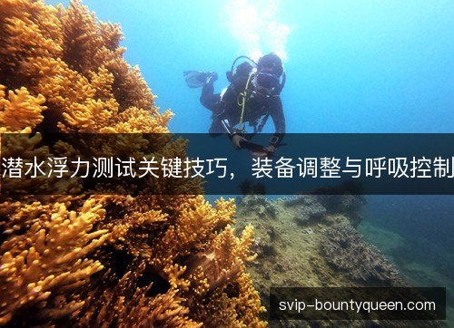 潜水浮力测试关键技巧，装备调整与呼吸控制